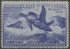 Picture of RW19 1952 Duck Stamp  MNH F-VF