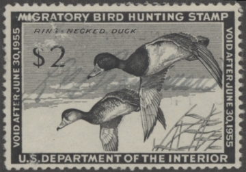 Picture of RW21 1954 Duck Stamp  Used F-VF