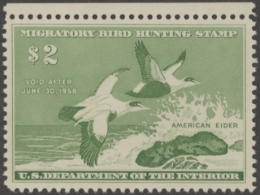Picture of RW24 1957 Duck Stamp  MNH VF