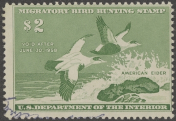 Picture of RW24 1957 Duck Stamp  Used VG