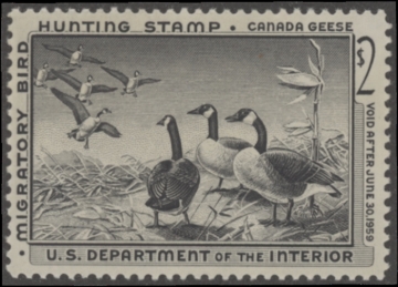 Picture of RW25 1958 Duck Stamp  MNH F-VF