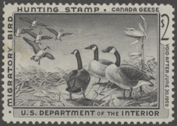Picture of RW25 1958 Duck Stamp  MLH VF