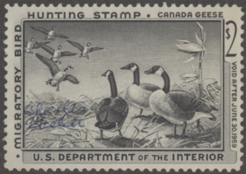 Picture of RW25 1958 Duck Stamp  MNH F-VF