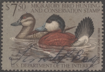 Picture of RW48 1981 Duck Stamp  Used F-VF