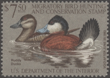 Picture of RW48 1981 Duck Stamp  MLH F-VF