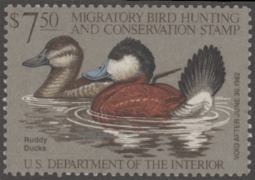 Picture of RW48 1981 Duck Stamp  MNH F-VF