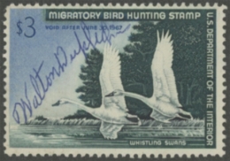 Picture of RW33 1966 Duck Stamp  Used F-VF