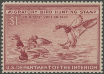 Picture of RW13 1946 Duck Stamp  MNH VF