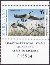 Picture of 1996 Maryland Duck Stamp MNH VF