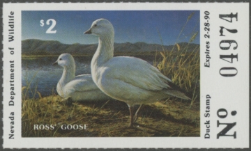 Picture of 1989 Nevada Duck Stamp MNH VF
