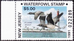 Picture of 1991 New Jersey Duck Stamp Brandt Error MNH VF