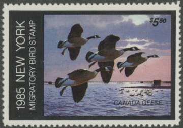 Picture of 1985 New York Duck Stamp - First of State MNH VF
