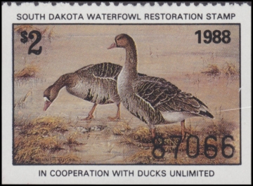 Picture of 1988 South Dakota Duck Stamp MNH VF
