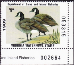Picture of 1989 Virginia Duck Stamp MNH VF