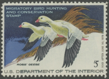 Picture of RW44 1977 Duck Stamp  MLH VF