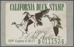 Picture of 1976 California Duck Stamp MNH VF