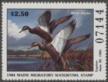 Picture of 1984 Maine Duck Stamp - First of State MNH VF