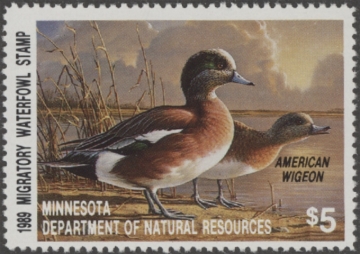 Picture of 1989 Minnesota Duck Stamp MNH VF