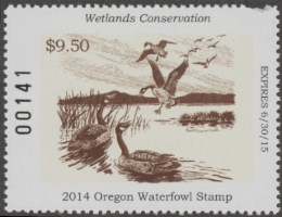 Picture of 2014 Oregon Duck Stamp MNH VF