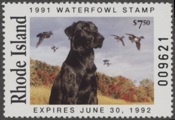 Picture of 1991 Rhode Island Duck Stamp MNH VF