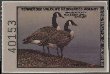 Picture of 1987 Tennessee Duck Stamp MNH VF