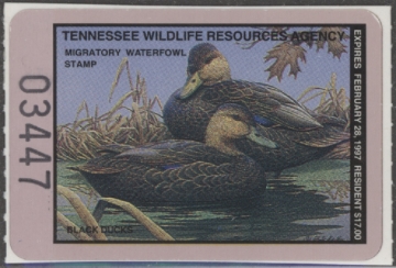 Picture of 1996 Tennessee Duck Stamp MNH VF