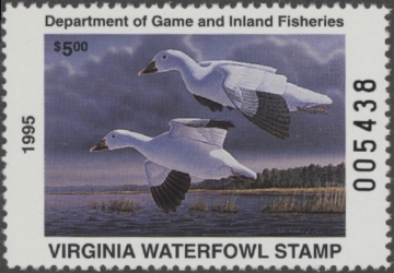 Picture of 1995 Virginia Duck Stamp MNH VF