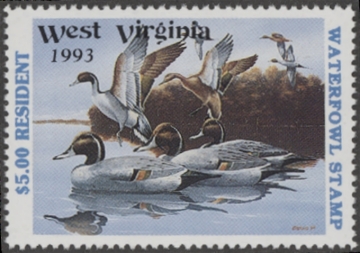 Picture of 1993 West Virginia Duck Stamp MNH VF