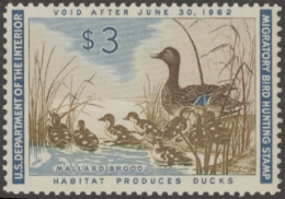 Picture of RW28 1961 Duck Stamp  MNH Fine