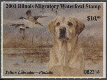 Picture of 2001 Illinois Duck Stamp MNH VF