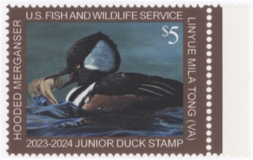 Picture of JDS31 2023 Duck Stamp  MNH VF