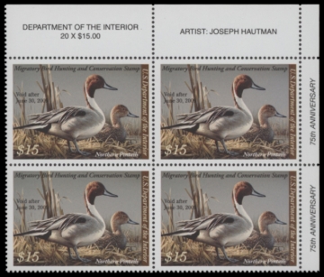 Picture of RW75 2008 Duck Stamp  MNH F-VF
