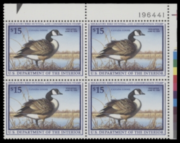 Picture of RW64 1997 Duck Stamp  MNH F-VF