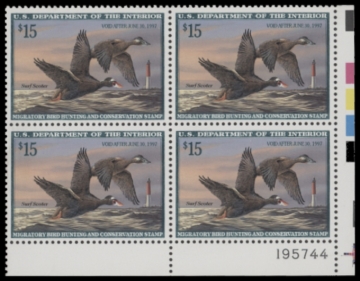 Picture of RW63 1996 Duck Stamp  MNH F-VF