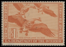 Picture of RW11 1944 Duck Stamp  Unsigned F-VF