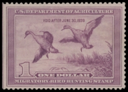 Picture of RW5 1938 Duck Stamp  Unsigned F-VF
