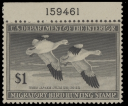 Picture of RW14 1947 Duck Stamp  MNH F-VF