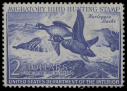 Picture of RW19 1952 Duck Stamp  MNH F-VF