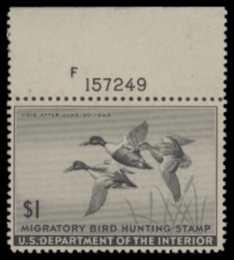 Picture of RW12 1945 Duck Stamp  MNH F-VF