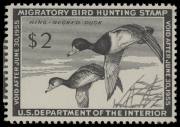 Picture of RW21 1954 Duck Stamp  MNH F-VF