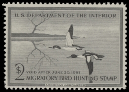 Picture of RW23 1956 Duck Stamp  MNH F-VF