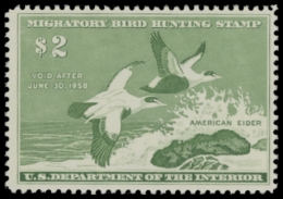 Picture of RW24 1957 Duck Stamp  MNH F-VF