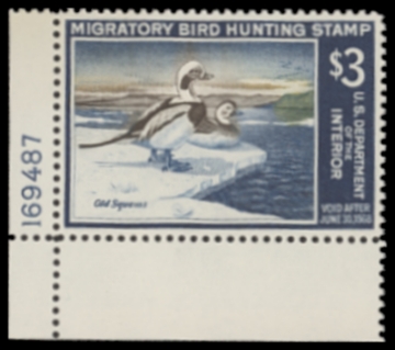 Picture of RW34 1967 Duck Stamp  MNH XF