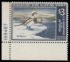 Picture of RW34 1967 Duck Stamp  MNH XF