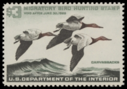 Picture of RW32 1965 Duck Stamp  MNH F-VF