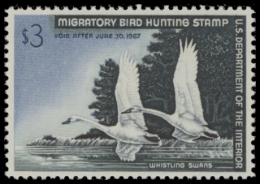 Picture of RW33 1966 Duck Stamp  MNH F-VF