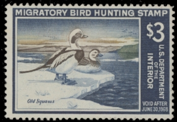 Picture of RW34 1967 Duck Stamp  MNH F-VF