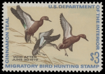 Picture of RW38 1971 Duck Stamp  MNH F-VF