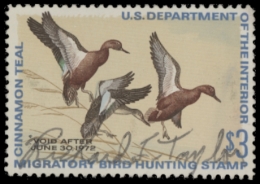 Picture of RW38 1971 Duck Stamp  Used F-VF