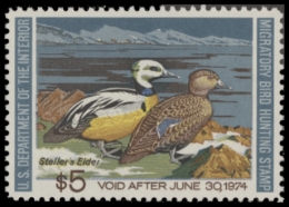 Picture of RW40 1973 Duck Stamp  MNH F-VF